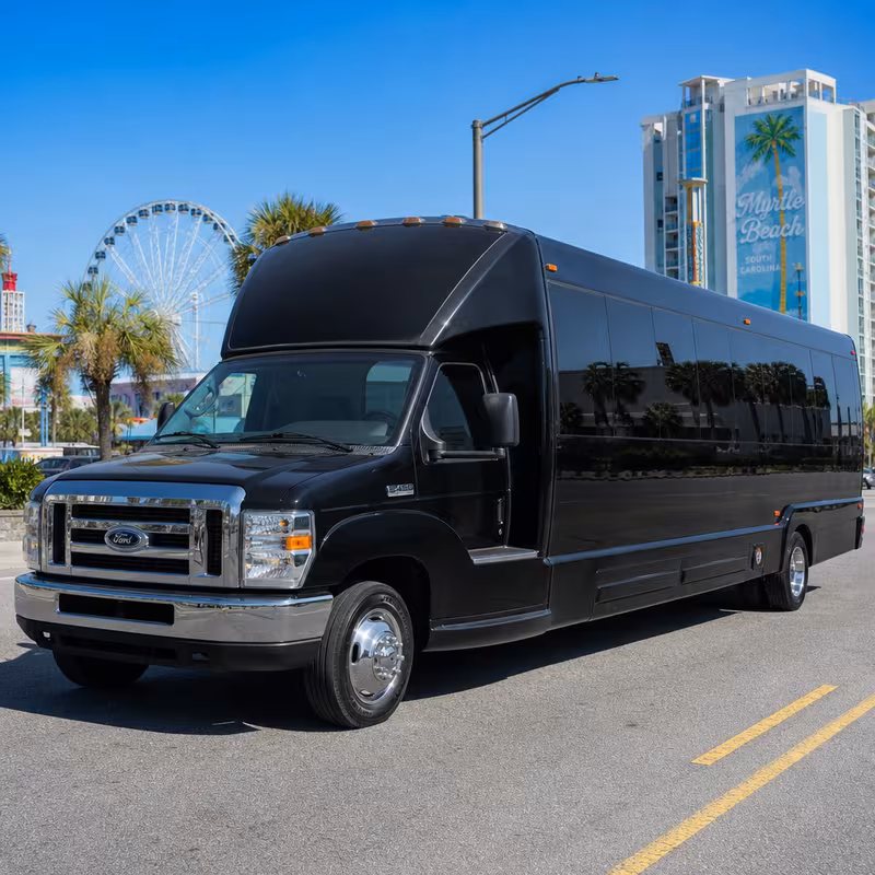 15 Passenger Party Bus