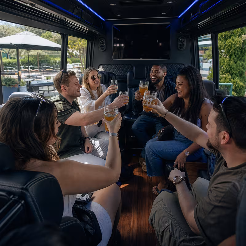 Black Mercedes Sprinter van staged for an Myrtle Beach Winery & Brewery Tour Transportation group